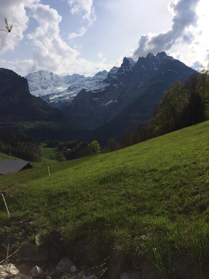 "Terrasse" Nessental Hotel Gadmen Buitenkant foto