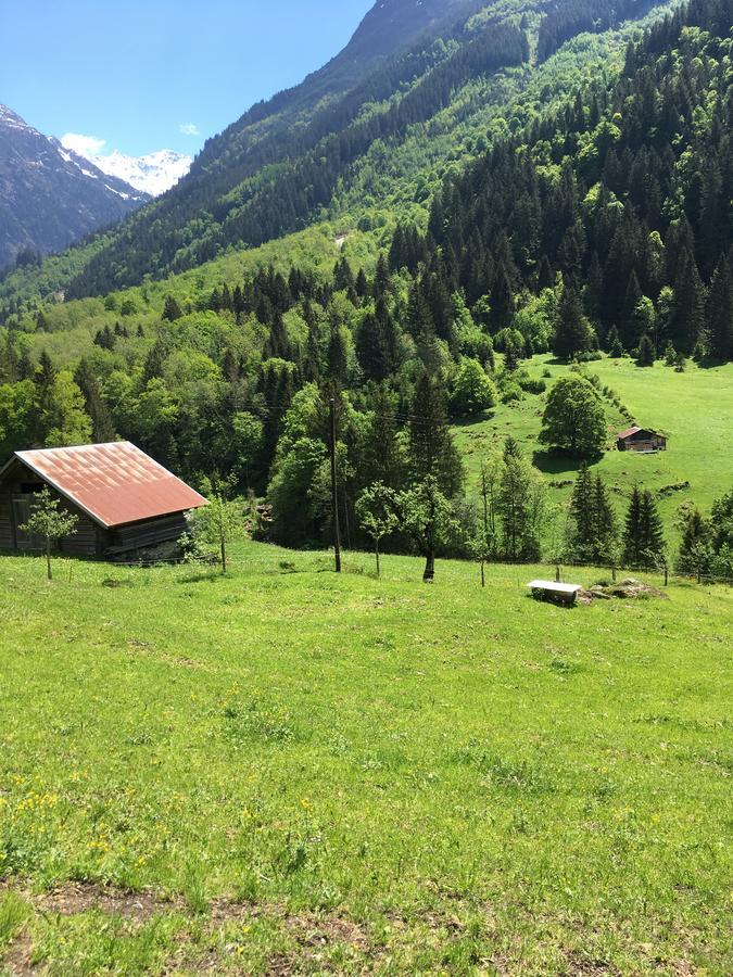 "Terrasse" Nessental Hotel Gadmen Buitenkant foto
